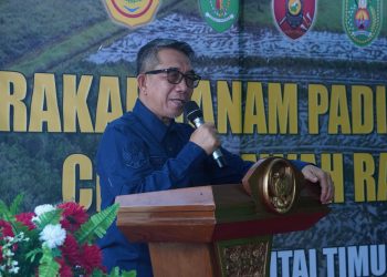 Perkuat Ketahanan Pangan: Bupati Kutim Siapkan 20.000 Hektare Lahan!