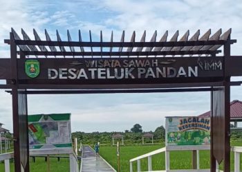 Agrowisata Sawah Tawarkan Wisata Edukasi dan Dorong Ekonomi Warga