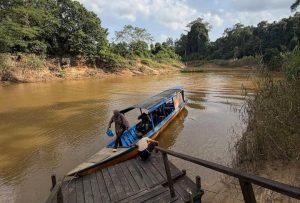 Liburan ke Prevab Mentoko Sangatta: Nikmati Alam dan Jumpa Orangutan Langsung