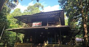 Liburan ke Prevab Mentoko Sangatta: Nikmati Alam dan Jumpa Orangutan Langsung