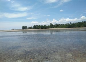 5 Rekomendasi Aktifitas Seru Di Pantai Teluk Prancis Kutai Timur!